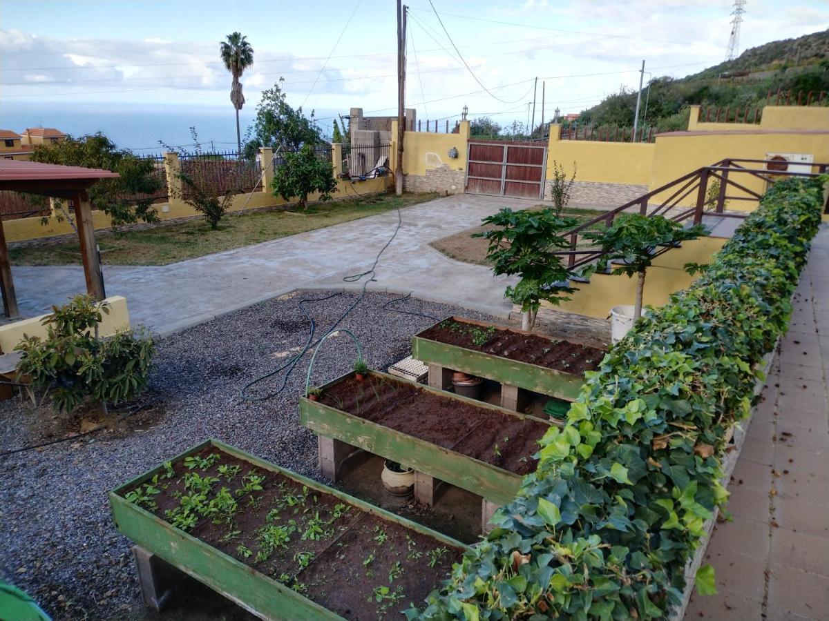 Apartamento La Costa Santa Cruz de Tenerife Buitenkant foto
